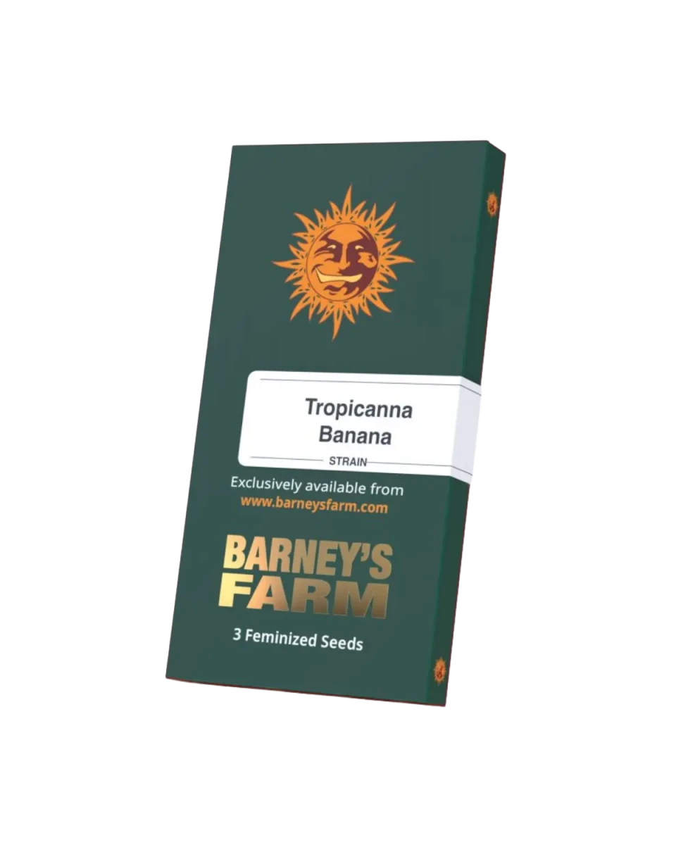 Tropicanna Banana Samen Originalverpackung