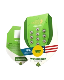 Watermelon AutofloweringCannabis Samen Originalverpackung