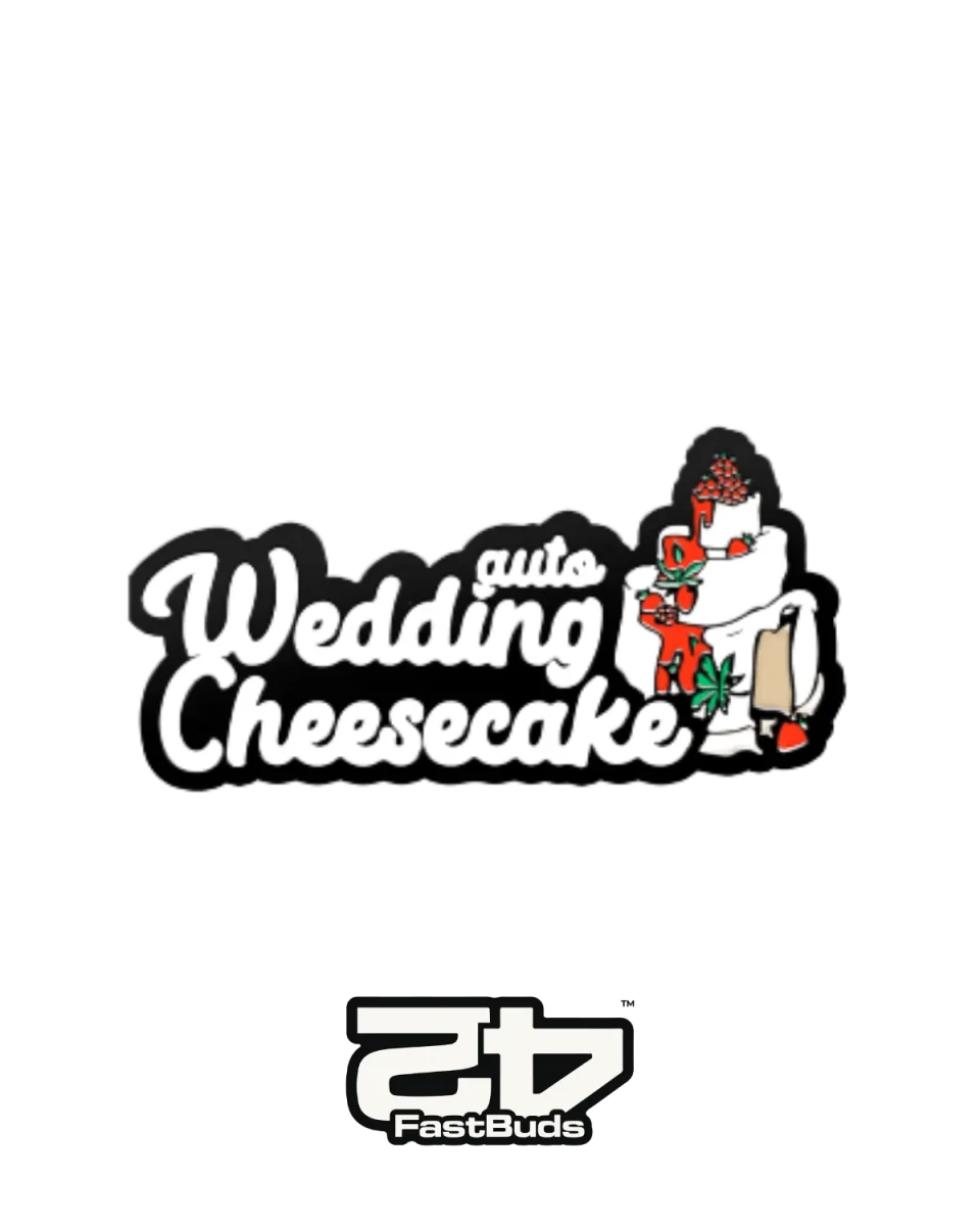 Wedding Cheesecake Automatic Samen von Fast Buds