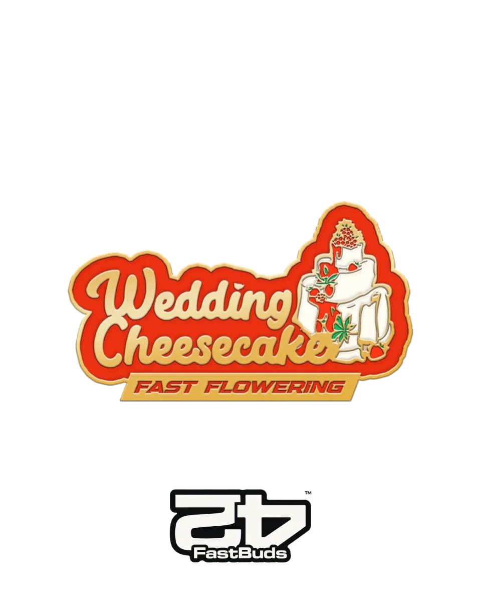 Wedding Cheesecake Fast Flowering
