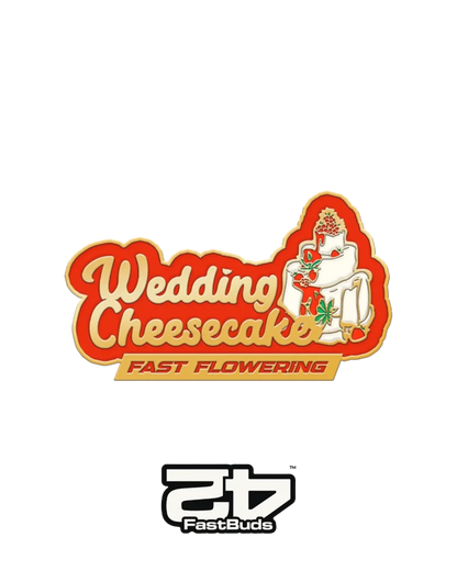 Wedding Cheesecake Fast Flowering