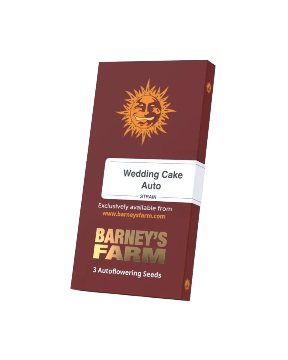 Wedding Cake Auto Samenverpackung