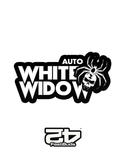 Cannabis Samen White Widow Auto