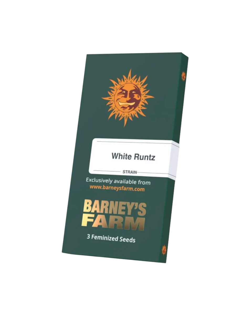 Originalverpackung White Runtz Cannabis Samen