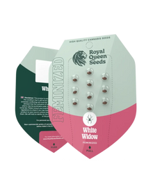 Originalverpackung White Widow Samen von Royal Queen Seeds