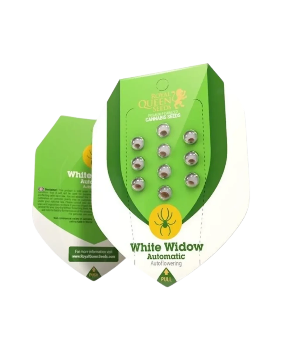 White Widow Automatic, Originalverpackung von Royal Queen Seeds mit 3 und 5 Samen