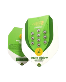 White Widow Automatic, Originalverpackung von Royal Queen Seeds mit 3 und 5 Samen