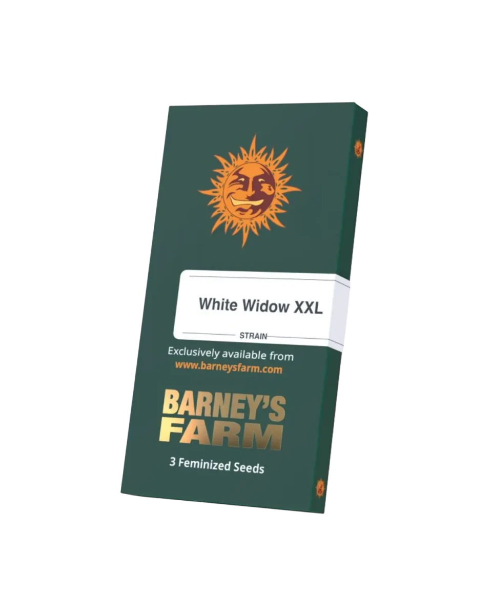 Originalverpackung White Widow XXL von Barney's Farm