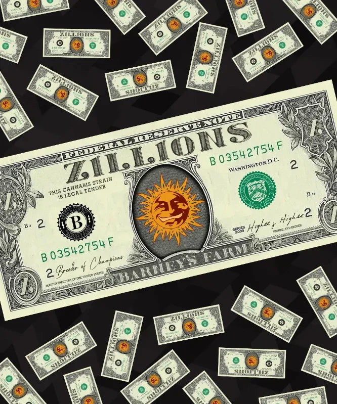 zillions cannabis samen von barneys farm