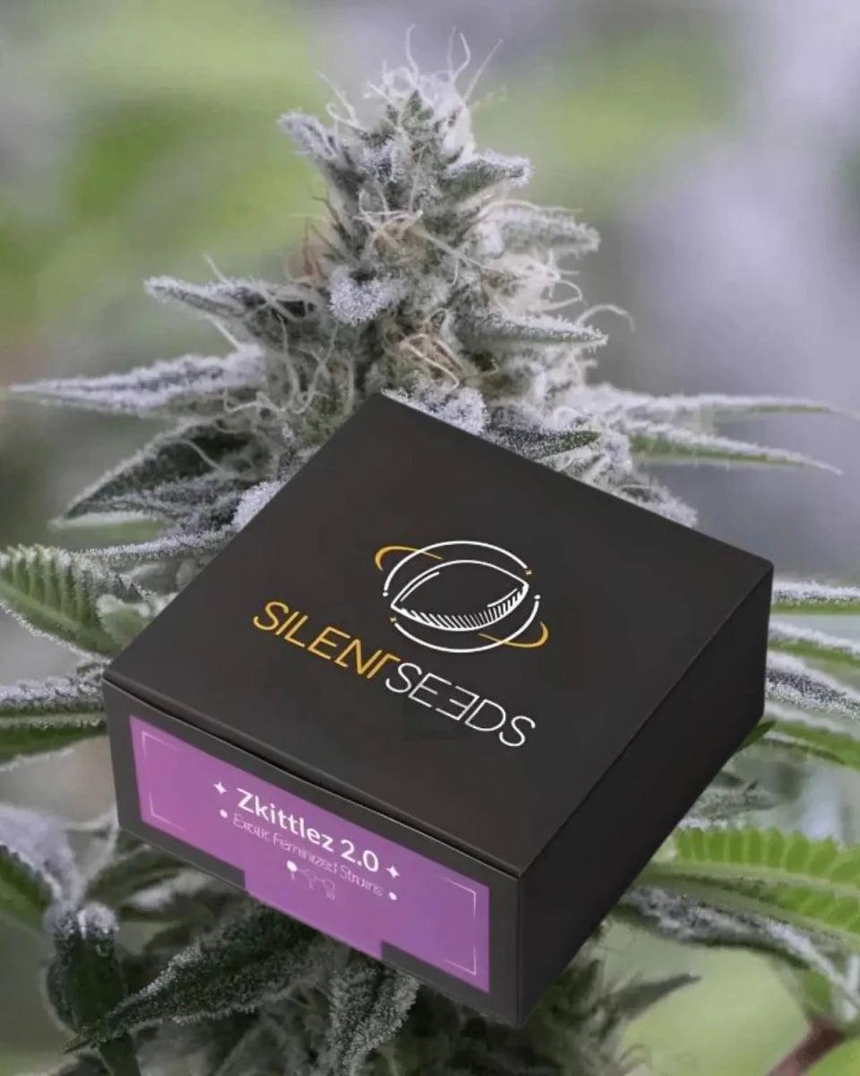 Zkittlez 2.0 von Silent Seeds – feminisierte Cannabis Samen