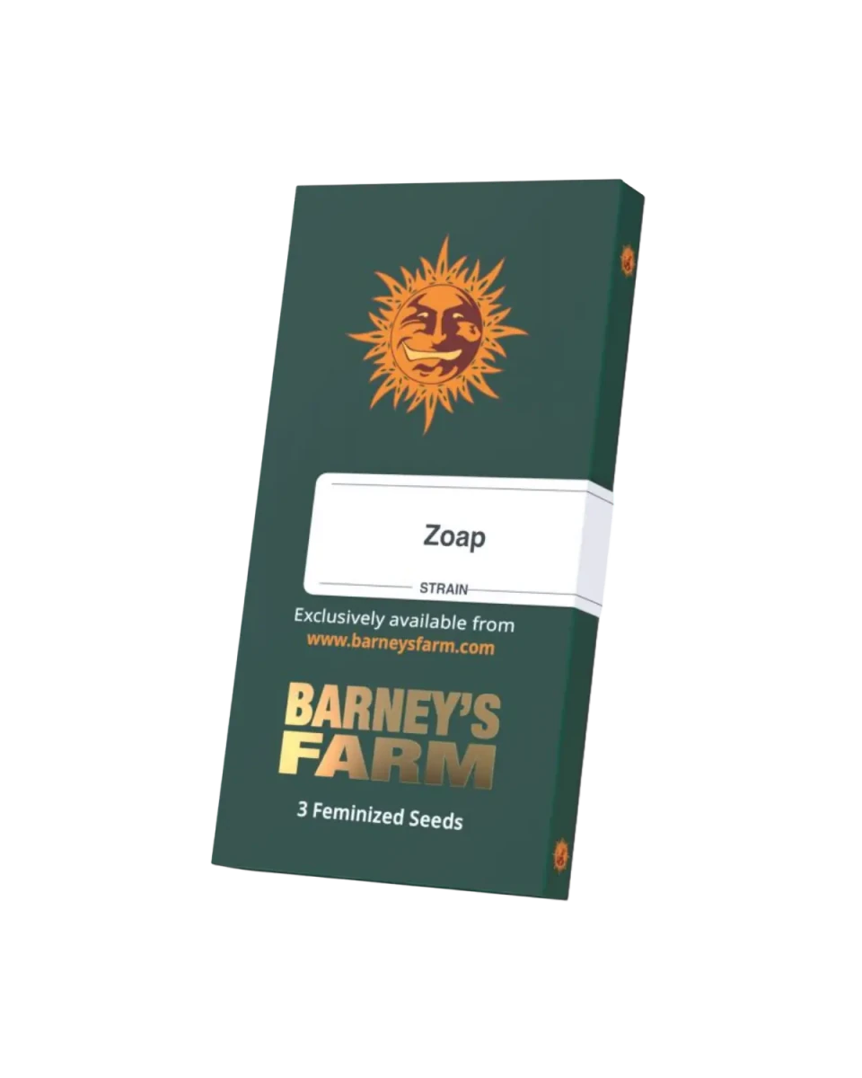 Zoap feminisierte Samen von Barne's Farm